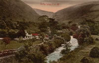 Looking up the Glen 